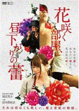 国产高清电影 流浪地球2
